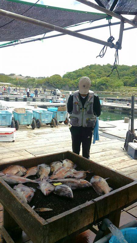 海の釣堀 海恵 釣果