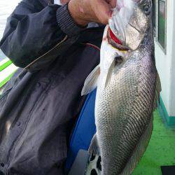 小島丸 釣果