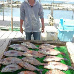 海の釣堀 海恵 釣果