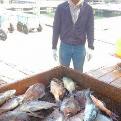 海の釣堀 海恵 釣果