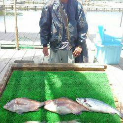 海の釣堀 海恵 釣果