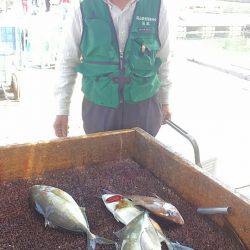 海の釣堀 海恵 釣果