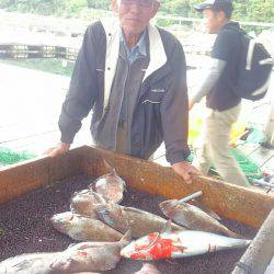 海の釣堀 海恵 釣果