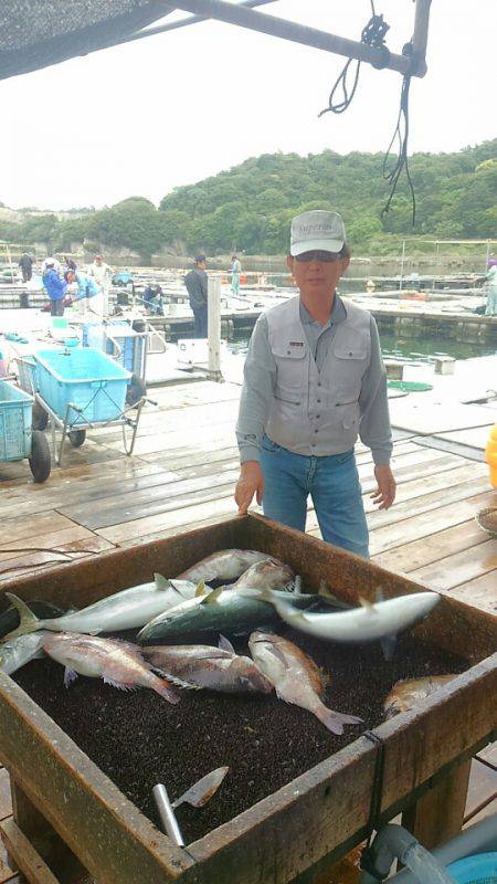 海の釣堀 海恵 釣果