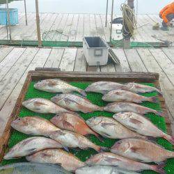 海の釣堀 海恵 釣果