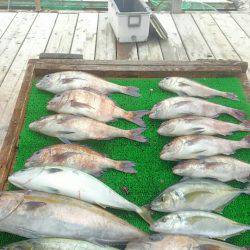 海の釣堀 海恵 釣果