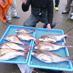 第三共栄丸 釣果