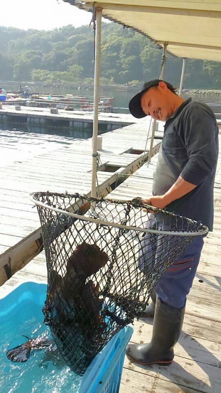 海の釣堀 海恵 釣果