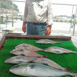 海の釣堀 海恵 釣果