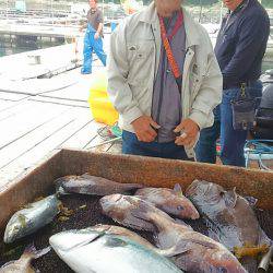 海の釣堀 海恵 釣果