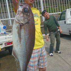 だて丸 釣果