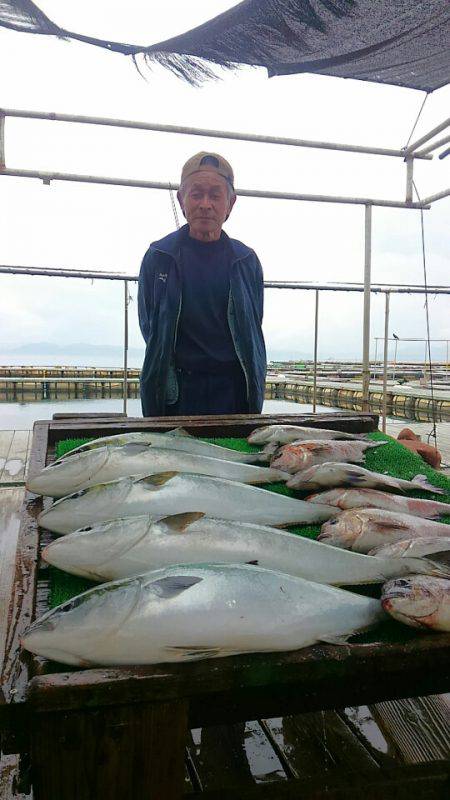 海の釣堀 海恵 釣果