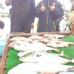 海の釣堀 海恵 釣果