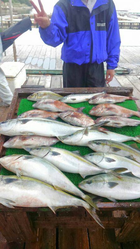 海の釣堀 海恵 釣果