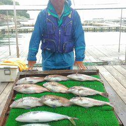 海の釣堀 海恵 釣果