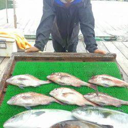 海の釣堀 海恵 釣果