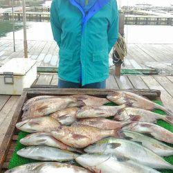 海の釣堀 海恵 釣果