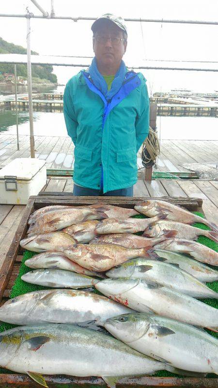 海の釣堀 海恵 釣果