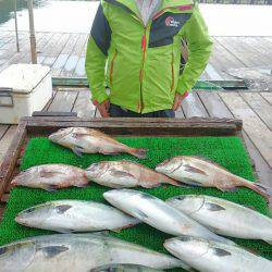 海の釣堀 海恵 釣果