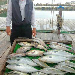 海の釣堀 海恵 釣果