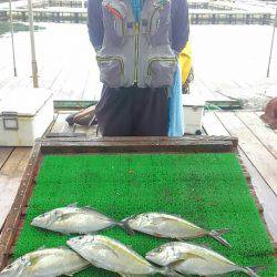 海の釣堀 海恵 釣果