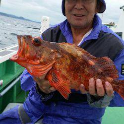 金沢八景鴨下丸 釣果