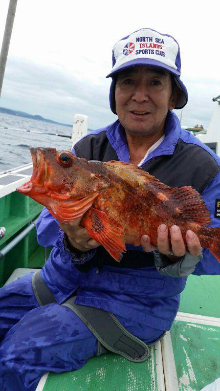 金沢八景鴨下丸 釣果