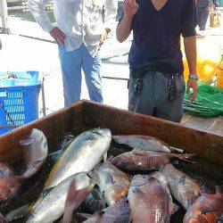 海の釣堀 海恵 釣果