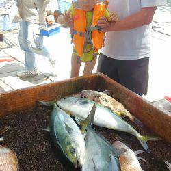 海の釣堀 海恵 釣果