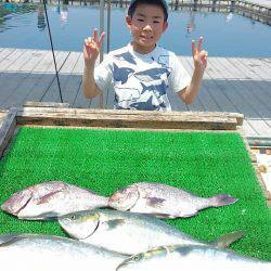 海の釣堀 海恵 釣果