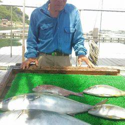 海の釣堀 海恵 釣果