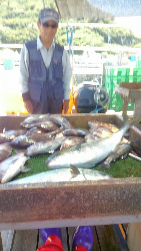 海の釣堀 海恵 釣果