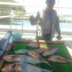 海の釣堀 海恵 釣果