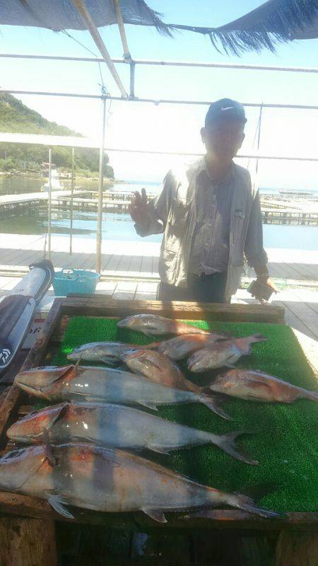 海の釣堀 海恵 釣果