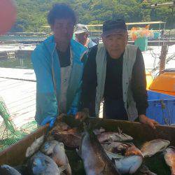 海の釣堀 海恵 釣果