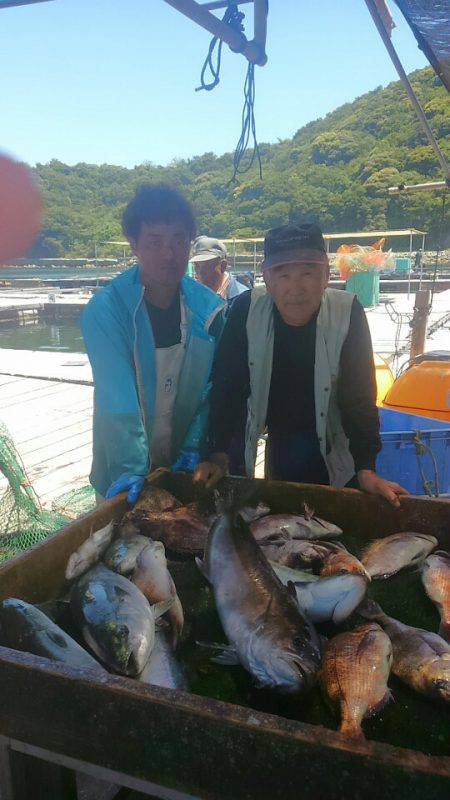 海の釣堀 海恵 釣果