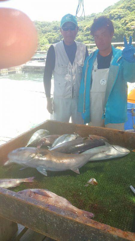 海の釣堀 海恵 釣果