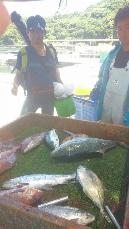 海の釣堀 海恵 釣果