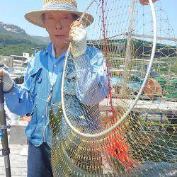 海の釣堀 海恵 釣果