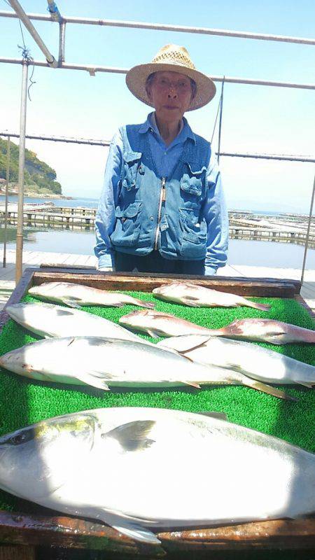 海の釣堀 海恵 釣果