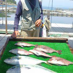 海の釣堀 海恵 釣果