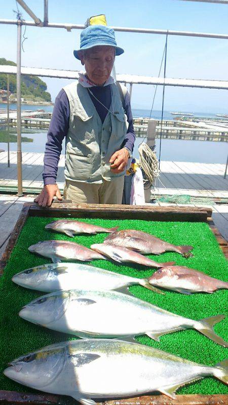 海の釣堀 海恵 釣果