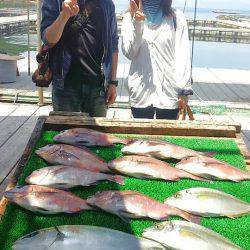 海の釣堀 海恵 釣果