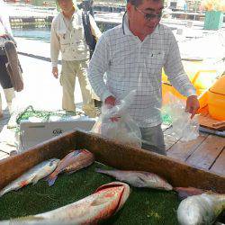 海の釣堀 海恵 釣果