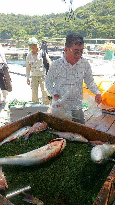 海の釣堀 海恵 釣果