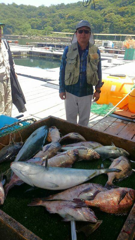 海の釣堀 海恵 釣果