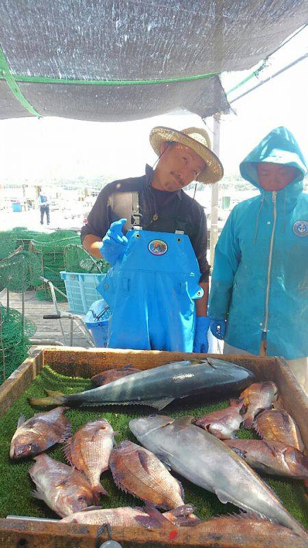 海の釣堀 海恵 釣果