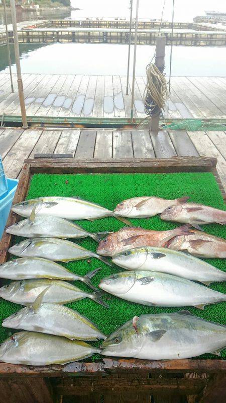 海の釣堀 海恵 釣果