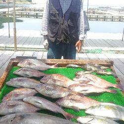 海の釣堀 海恵 釣果