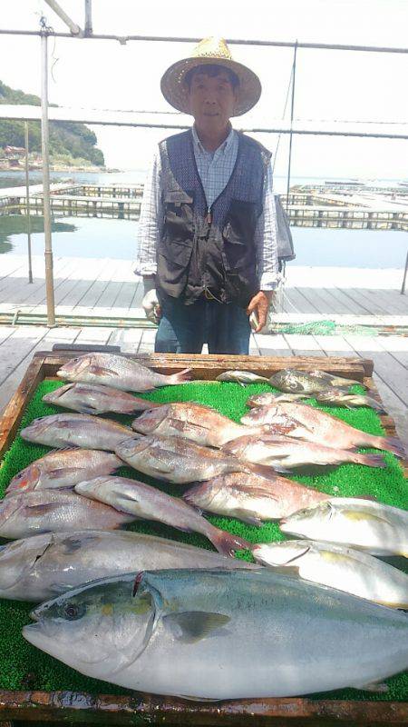 海の釣堀 海恵 釣果